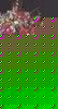 bouquet.jpg