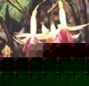 fleur21.jpg